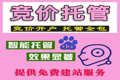 谷歌竞价广告的创意设计及某品牌成功经验
